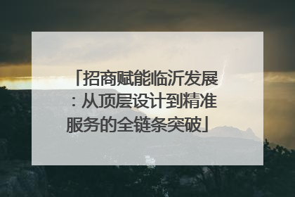 招商赋能临沂发展：从顶层设计到精准服务的全链条突破