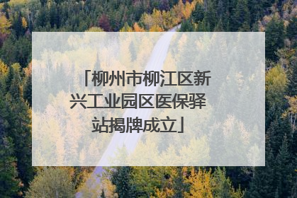 柳州市柳江区新兴工业园区医保驿站揭牌成立