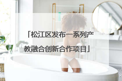 松江区发布一系列产教融合创新合作项目
