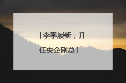 李季履新，升任央企副总