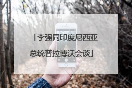李强同印度尼西亚总统普拉博沃会谈