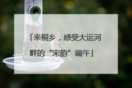 来桐乡，感受大运河畔的“宋韵”端午