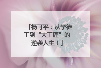 杨可平：从学徒工到“大工匠”的逆袭人生！