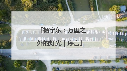 杨宇东：万里之外的灯光｜序言
