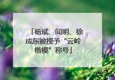 杨斌、闻明、徐成东被授予“云岭楷模”称号