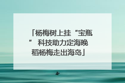 杨梅树上挂“宝瓶” 科技助力定海晚稻杨梅走出海岛