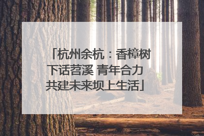 杭州余杭：香樟树下话苕溪 青年合力共建未来坝上生活
