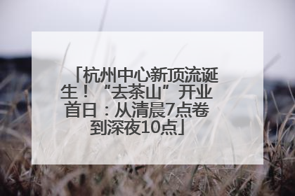 杭州中心新顶流诞生！“去茶山”开业首日：从清晨7点卷到深夜10点