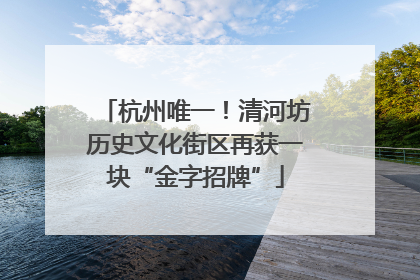 杭州唯一！清河坊历史文化街区再获一块“金字招牌”