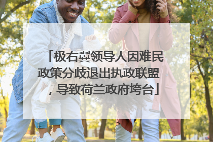 极右翼领导人因难民政策分歧退出执政联盟，导致荷兰政府垮台
