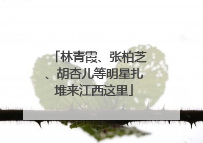 林青霞、张柏芝、胡杏儿等明星扎堆来江西这里