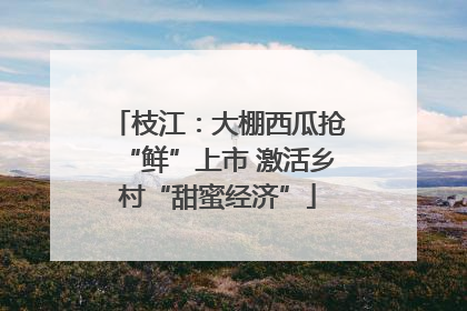 枝江：大棚西瓜抢“鲜”上市 激活乡村“甜蜜经济”