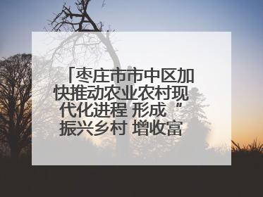 枣庄市市中区加快推动农业农村现代化进程 形成“振兴乡村 增收富农”新格局