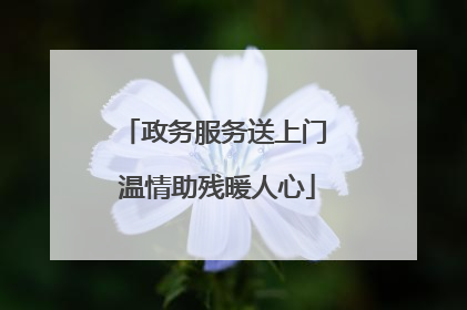 政务服务送上门 温情助残暖人心