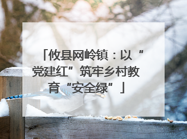 攸县网岭镇：以“党建红”筑牢乡村教育“安全绿”