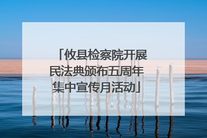 攸县检察院开展民法典颁布五周年集中宣传月活动