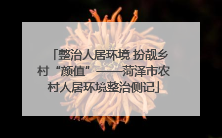 整治人居环境 扮靓乡村“颜值”——菏泽市农村人居环境整治侧记