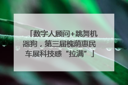 数字人顾问+跳舞机器狗，第三届槐荫惠民车展科技感“拉满”