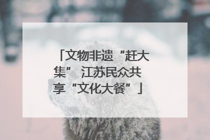 文物非遗“赶大集” 江苏民众共享“文化大餐”