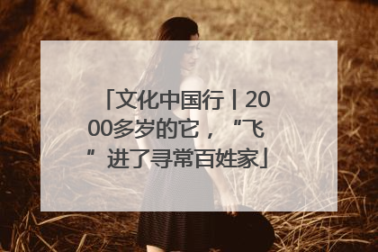 文化中国行丨2000多岁的它，“飞”进了寻常百姓家