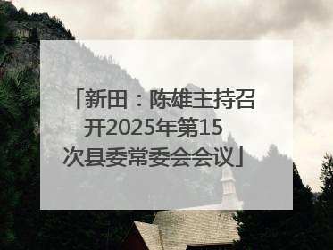 新田：陈雄主持召开2025年第15次县委常委会会议