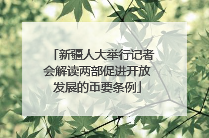 新疆人大举行记者会解读两部促进开放发展的重要条例