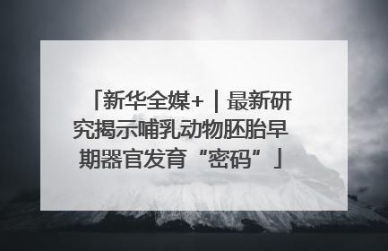 新华全媒+｜最新研究揭示哺乳动物胚胎早期器官发育“密码”
