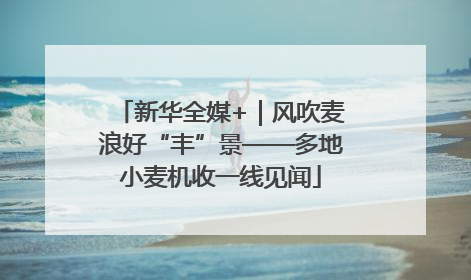 新华全媒+｜风吹麦浪好“丰”景——多地小麦机收一线见闻