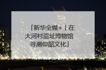 新华全媒+丨在大河村遗址博物馆寻溯仰韶文化