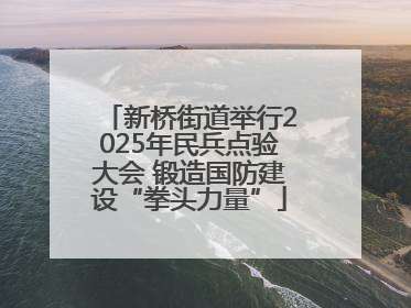 新桥街道举行2025年民兵点验大会 锻造国防建设“拳头力量”