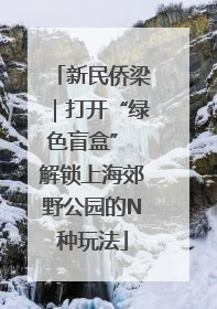 新民侨梁｜打开“绿色盲盒” 解锁上海郊野公园的N种玩法