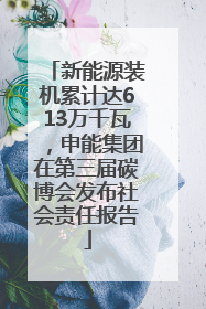 新能源装机累计达613万千瓦，申能集团在第三届碳博会发布社会责任报告