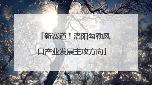 新赛道！洛阳勾勒风口产业发展主攻方向