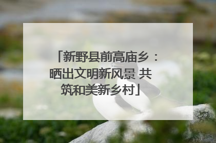 新野县前高庙乡：晒出文明新风景 共筑和美新乡村