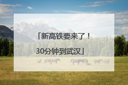 新高铁要来了！30分钟到武汉