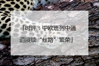 时评：中欧班列中通道赓续“丝路”繁荣
