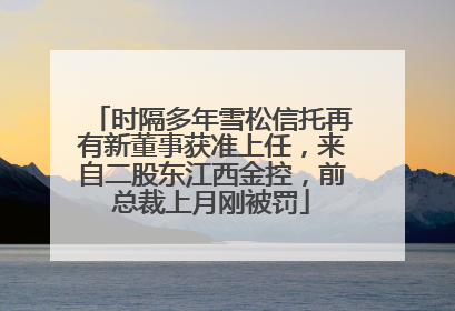 时隔多年雪松信托再有新董事获准上任，来自二股东江西金控，前总裁上月刚被罚