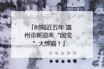 时隔近五年 温州重新迎来“国宝”大熊猫！