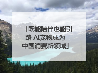 既能陪伴也能引路 AI宠物成为中国消费新领域