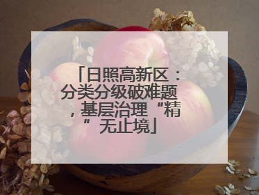日照高新区：分类分级破难题，基层治理“精”无止境