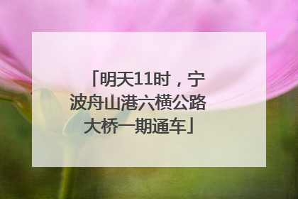 明天11时，宁波舟山港六横公路大桥一期通车