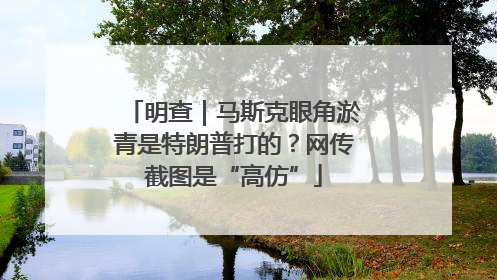 明查｜马斯克眼角淤青是特朗普打的？网传截图是“高仿”