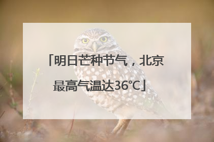 明日芒种节气，北京最高气温达36℃