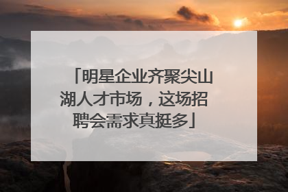 明星企业齐聚尖山湖人才市场，这场招聘会需求真挺多