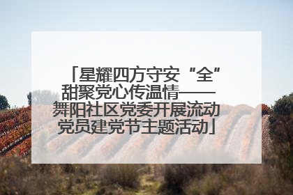 星耀四方守安“全” 甜聚党心传温情——舞阳社区党委开展流动党员建党节主题活动