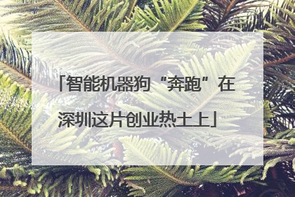 智能机器狗“奔跑”在深圳这片创业热土上