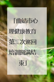 曲靖市心理健康教育第二次巡回培训圆满结束