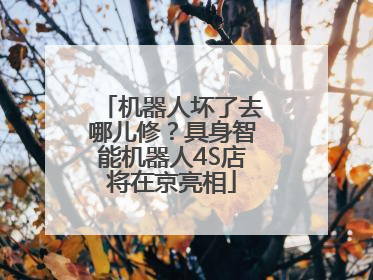 机器人坏了去哪儿修？具身智能机器人4S店将在京亮相