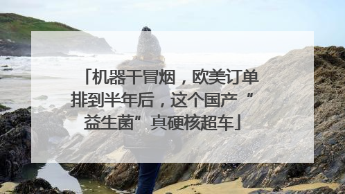 机器干冒烟，欧美订单排到半年后，这个国产“益生菌”真硬核超车