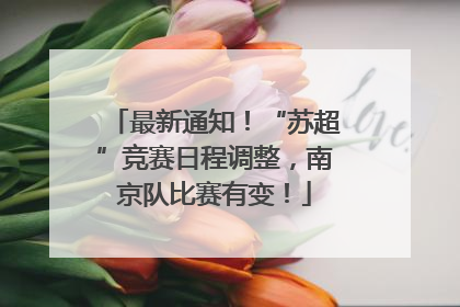 最新通知！“苏超”竞赛日程调整，南京队比赛有变！